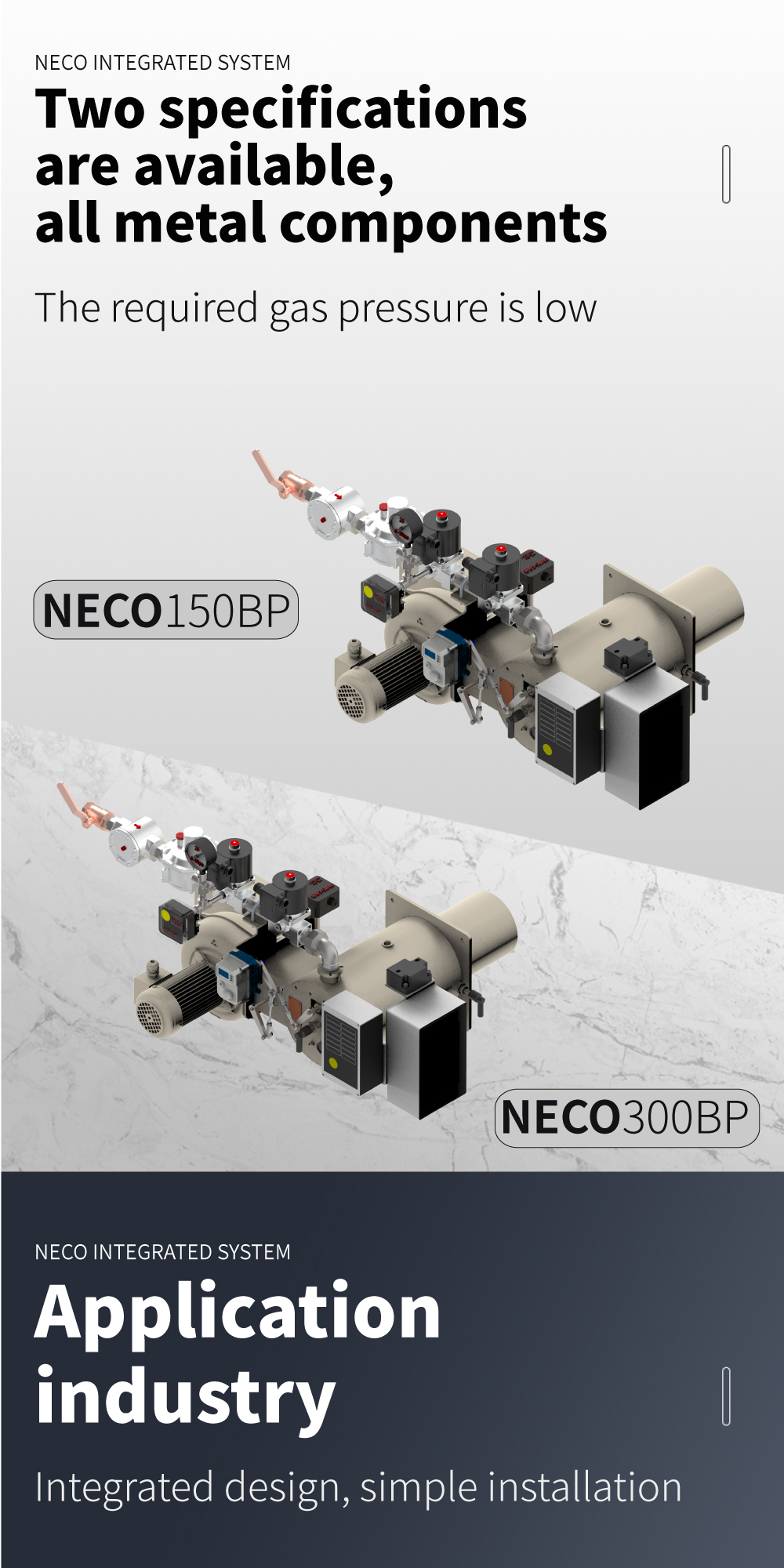 NECO_05.jpg